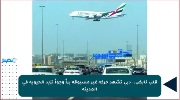 قلب نابض.. دبي تشهد حركة غير مسبوقة براً وجواً تزيد الحيوية في المدينة